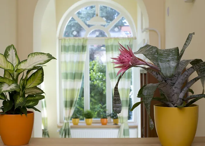 Centrum Vendeghaz Eger