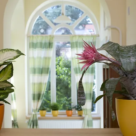 Centrum Vendeghaz Eger