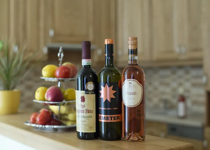 Apartment Centrum Vendeghaz Erlau