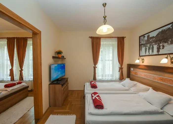 Apartment Centrum Vendeghaz *